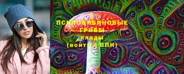 ГАЛЛЮЦИНОГЕННЫЕ ГРИБЫ Каменск-Шахтинский