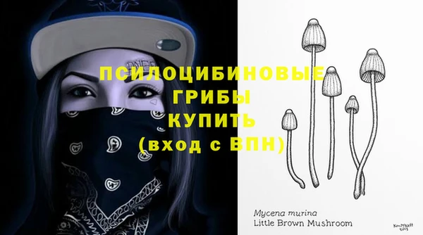ALPHA PVP Каменногорск