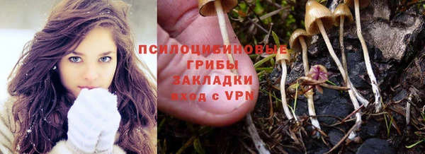 первитин Каменка