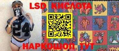 гидра Гусев