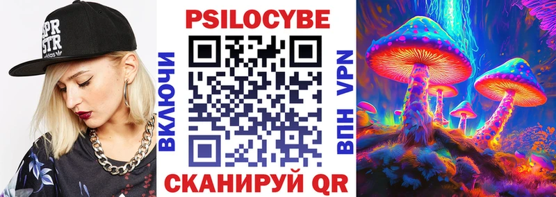 продажа наркотиков  Кимовск  Галлюциногенные грибы Psilocybe 