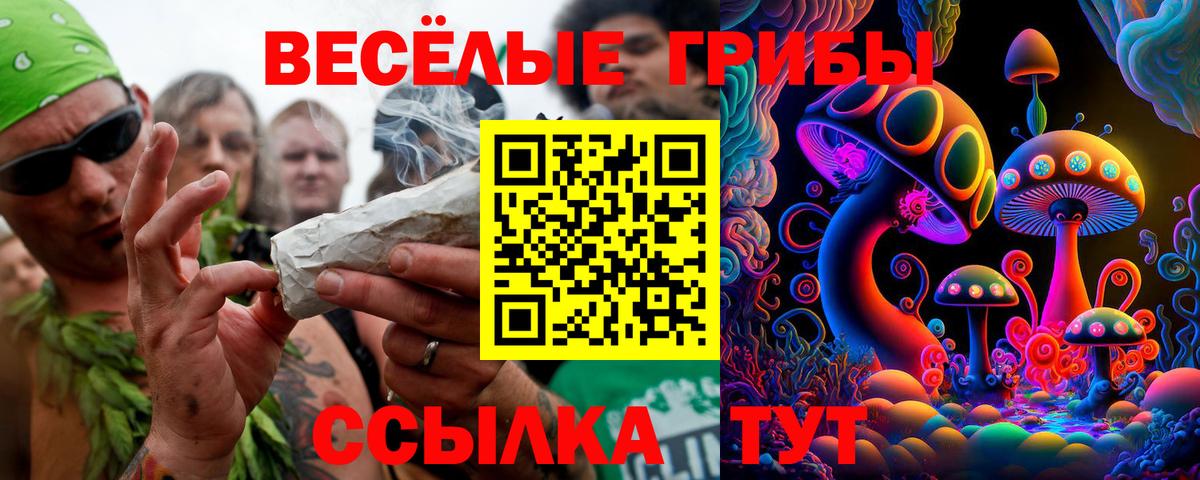Псилоцибиновые грибы мухоморы Кимовск