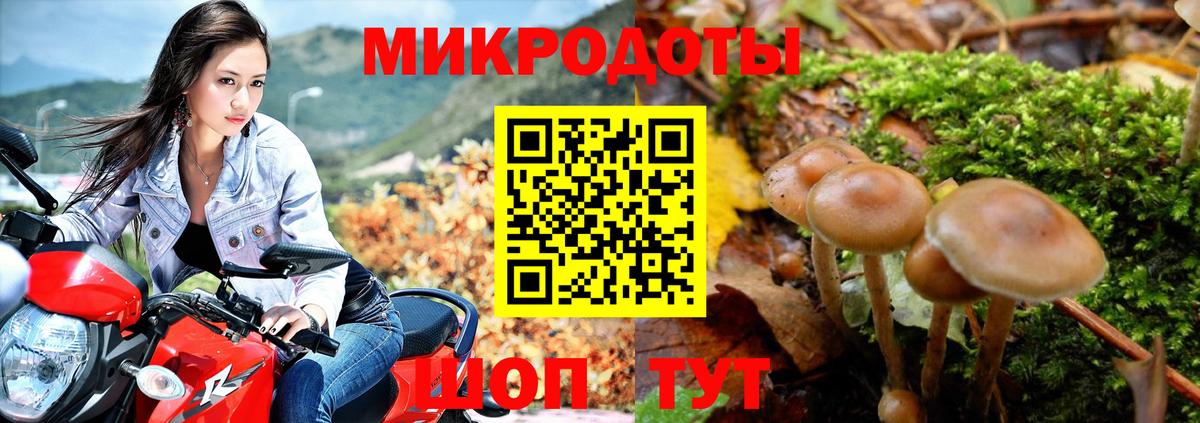 Кимовск  Псилоцибиновые грибы мицелий  цены   Вход с VPN 